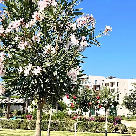 Olive By The Sea Apartment Vokolidha