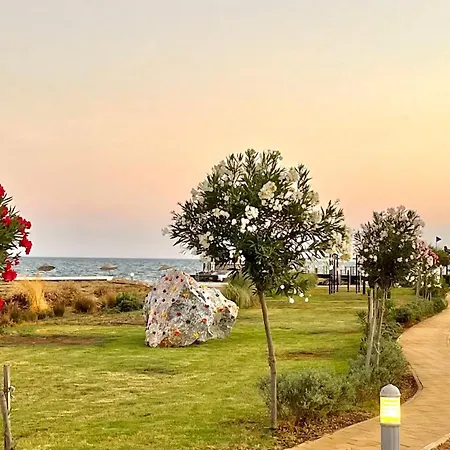 Olive By The Sea شقة *