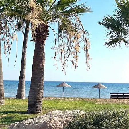 Olive By The Sea * Vokolidha
